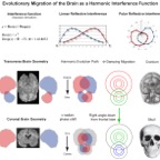 BrainGeometry(New).jpg