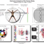 Harmonic Anatomy.jpg