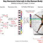 BodyIntervals.jpg