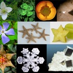 harmonics_patterns4.jpg