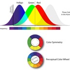 ColorPerception.jpg