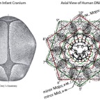 harmonics_patterns5.jpg