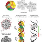 DNA Golden Helix.jpg